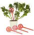 Relaxdays 80 x Bewässerungskugeln rot (10034596)