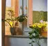 Relaxdays Bewässerungskugeln Glas 4er Set gelb (10048279_48)