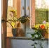 Relaxdays Bunte Bewässerungskugeln Glas 4er Set blau/grün/rot (10048280)