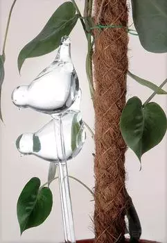 Vilde Bew&auml;sserungskugeln Glas V&ouml;gel, 2er-Set (400C13101270)
