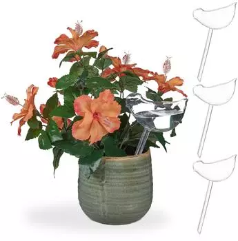 Relaxdays Bew&auml;sserungskugeln Pflanzenwasserspender transparent, 12er-Set
