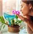 Relaxdays Bewässerungskugeln Pflanzenwasserspender transparent, 12er-Set