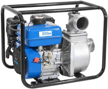 G&uuml;de Motorpumpe GMP 50.25 PS (94505)