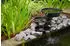 Ubbink Nova Scotia II Wasserfall-Bachlauf Polyresin anthrazit (39354542-0)