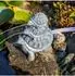 Esotec Solar Wasserspeierset Schildkröten Trio, Polyresin (101686)