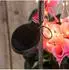 Spetebo Solar Deko Wasserhahn mit Blumentopf 30 LED warmweiß (70471)