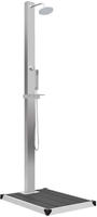 vidaXL Gartendusche mit Bodenelement WPC Edelstahl