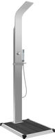 vidaXL Gartendusche mit Bodenelement WPC Edelstahl