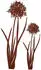UNUS Gartenstecker Agapanthus Rostoptik 2er-Set (32166-S2)