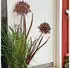 UNUS Gartenstecker Agapanthus Rostoptik 2er-Set (32166-S2)