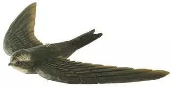 Wildlife Garden DecoBird Mauersegler, handgeschnitzter Vogel aus Holz (WG422)