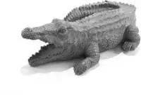 Esotec Wasserspeier Krokodil Klaus Einzelfigur Mit Schlauch Polyresin 100751