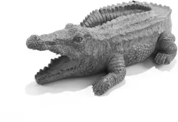 Esotec Wasserspeier Krokodil Klaus Einzelfigur mit Schlauch, Polyresin (100751)