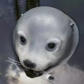Boltze Poggy Schwimmfigur Seehund, grau, Kunststoff