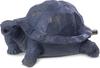 Oase Wasserspeier Schildkröte Polyresin (36778)