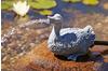 Oase Wasserspeier Ente Polyresin (36775)