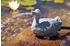 Oase Wasserspeier Ente Polyresin (36775)