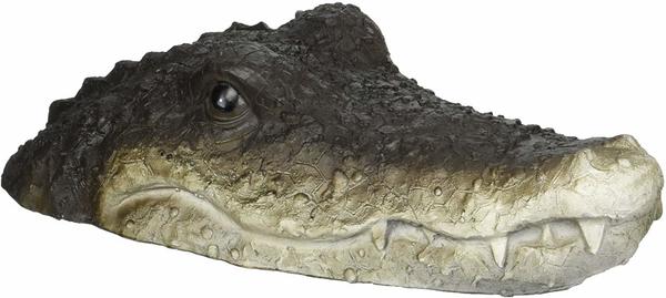 Schwimmender Krokodilkopf