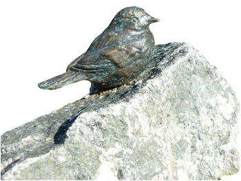 Rottenecker Bronzefigur Vogel auf Findling Braun