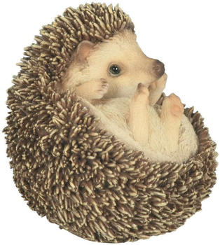 Riviera System Baby hedgehog