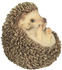 Riviera System Baby hedgehog