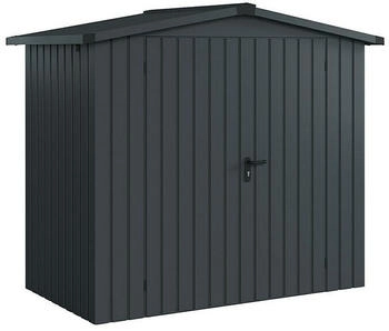 ECO-Star Euroline Trend ESD3 237x134cm Stahl Doppeltür Anthrazitgrau
