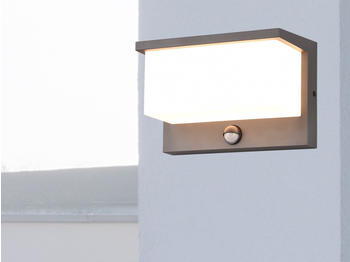 Trio LED Außenwandleuchte Nestos (240969142)
