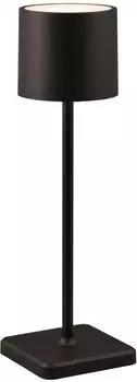 Trio LED Außen-Tischleuchte Fernandez (R54096132)