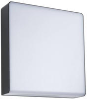 Paulmann LED Au&szlig;en-Wandleuchte "Azalena IP44 250x97mm 8,5W 700lm 230V Kunststoff,