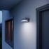 Steinel Sensor-LED-Außenleuchte 800 SC (087555)
