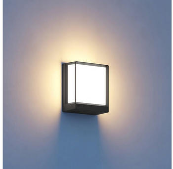 Steinel L 40 C LED-Außenwandleuchte anthrazit – App-gesteuerte Steuerung erweitert klassische Sensorfunktion