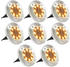 vidaXL Solar-Bodenleuchten 8 Stk. LED Warmweiß (44417)