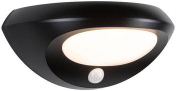 Paulmann LED Solar Wandleuchte Sorova Anthrazit 3,5W 220lm IP44 schwarz