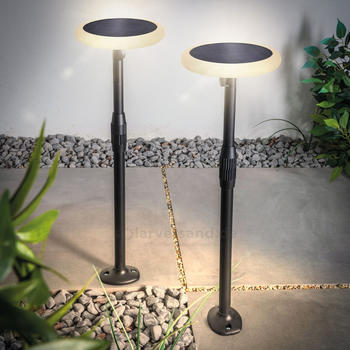 Esotec Solar Steckleuchten 43 LEDs 260 lm 2er-Set