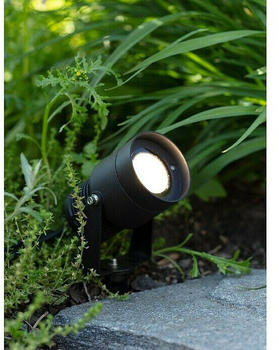 Markslöjd Lighting LED-Spotlight, schwarz, 15 Watt