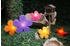 8 seasons 8 seasons - Motivleuchte Shining Flower Durchmesser 40 cm lila Solar (11132406S)