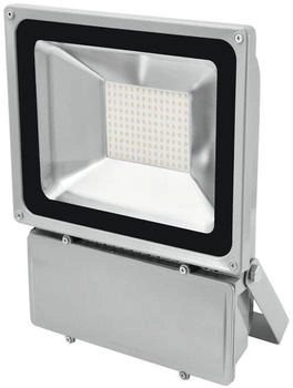 Eurolite LED IP FL-100 6400K | Flacher Outdoor-Scheinwerfer (IP54) mit 140 SMD-LEDs (kaltwei&szlig;) (51914780)