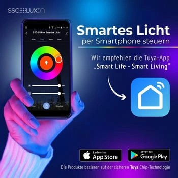 SSC-LUXon LED Aufbaustrahler Up & Down Outdoor Wandleuchte Monto IP54 anthrazit mit 2x Smart GU10, RGB & Weißtöne (SSC-4099)