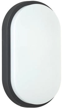 Oktaplex LED Kellerlampe Oval Lumi IP54-10W 800Lm warmweiß 3000K - Ovallampe außen Anthrazit (17052.3K)