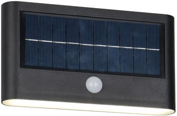Reality LED-Outdoor-Wandleuchte Ramos mit Bewegungsmelder schwarz matt (R24746232)