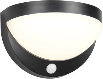 Reality LED Außenwandleuchte Cobre R24716132, Kunststoff schwarz matt, 8W