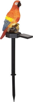 Best Season STAR TRADING LED Solarleuchte - LED Solarleuchte Papagei