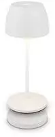 Briloner Leuchten LED Tischleuchte "CILANO Tischleuchte" LED-Modul