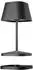 Villeroy & Boch LED-Tischlampe NEAPEL RC schwarz indoor outdoor fernbedienbar (97222)