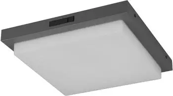Trio LED-Außenwandleuchte Bermejo Alu, Eisen, Stahl & Metall (630369242)