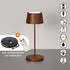 FHL easy Asena Pro LED Tischleuchte Außen, Akku, CCT, dimmbar, rostfarben (850675)