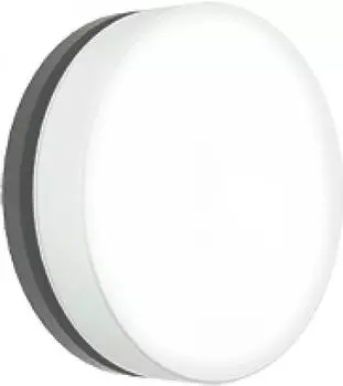 Albert Wand- und Deckenleuchte 6309 LED, anthrazit, IP65, 36W (626309)