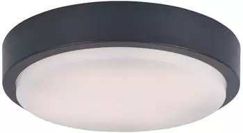 Paul Neuhaus Q-LENNY LED-Au&szlig;en-Deckenleuchte RGB+W dimmbar, Smart Home, anthrazit (9650-13)