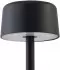 Lindby Isason LED Außen-Stehlampe dimmbar, Aluminium, schwarz (10025838)