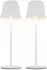 Globo Outdoor-Tischleuchte Flaschenaufsatz CCT Touchdimmer, 2er-Set